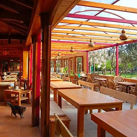 Hotel Mitos Olympos